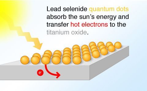 Nieuw type zonnecel zet zonlicht efficiënter om in elektrische energie. Foto University of Texas, Austin