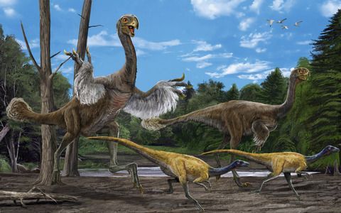 Artist impression van de Gigantoraptor erlianensis, de grootste gevleugelde dinosoort die ooit is ontdekt. Op basis van de overblijfselen van het skelet dat wetenschappers hebben gevonden in China, schatten de onderzoekers dat het dier rond de 1400 kilo m