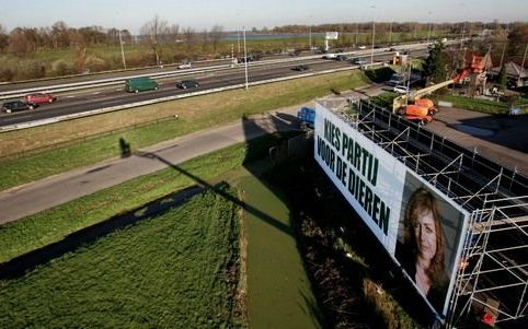 „Een keuze voor de Partij voor de Dieren heeft niets te maken met een keuze tussen de belangen van de mens en die van het dier. Het gaat om een keuze tussen respect voor het leven en het offeren van dat leven op het altaar van de economie.” Foto ANP