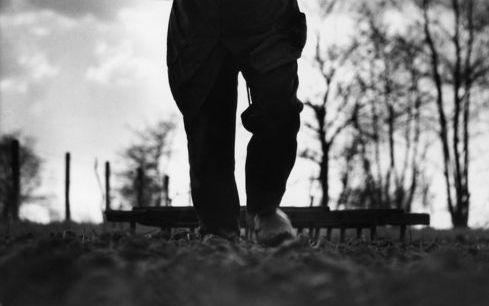 Zwaar werk: Evert trekt de eg over het Veluwse land. Foto uit besproken boek.