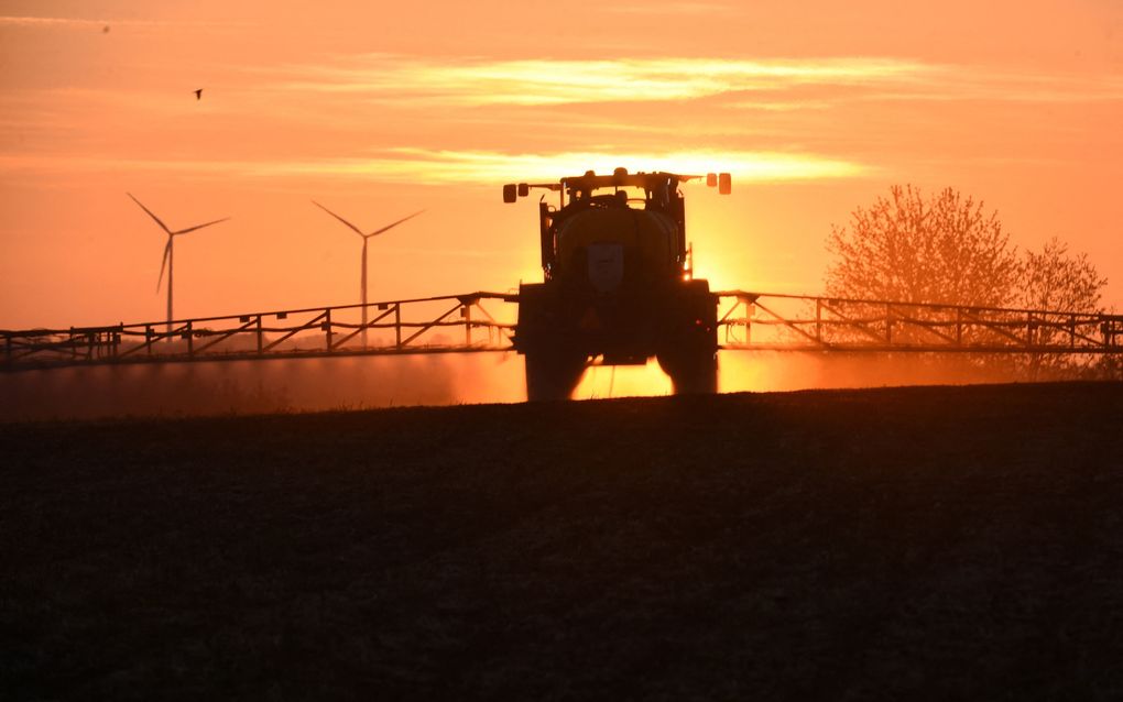 Spuiten met glyfosaat is soms het duurzaamste alternatief om de grond geschikt te maken voor een nieuwe teelt​, zegt onderzoeker De Wolf. beeld AFP, Jean-Francois Monier