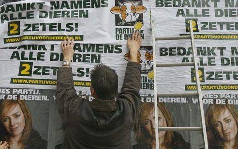 AMSTERDAM - Medewerkers van de Partij voor de Dieren plakken donderdag in Amsterdam posters om de kiezers te bedanken voor hun stem. Foto ANP