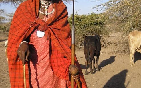 De Maasai, een herdersvolk, worden van hun geboortegrond in Tanzania verdreven, omdat er door hun vee te weinig wilde dieren zouden zijn om op te jagen door Arabieren uit de Verenigde Arabische Emiraten. Foto RD