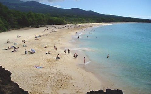 Docent en voorganger Rick Moore redde bij een strandgedeelte van Makena, op Hawaii, een meisje die was gewond door een aanval van een haai. Beeld Wikimedia