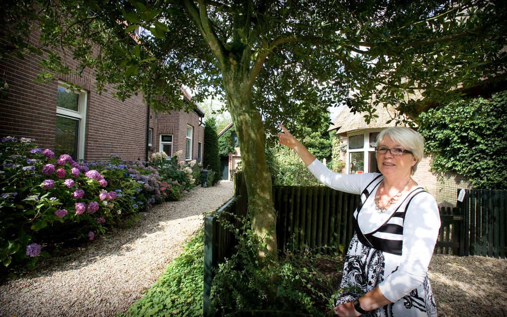 Buurtbemiddelaar Carola Albers uit Apeldoorn: „Een conflict begint vaak met iets heel kleins. Mensen spreken hun buren niet aan over hun ergernis, ze zijn bang voor een agressieve reactie.” Onder meer bomen bij erfafscheidingen kunnen tot burenruzies leid