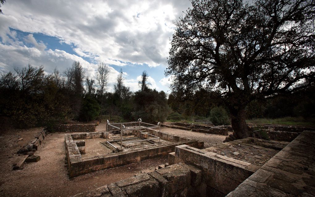 Dan dankt zijn bekendheid vooral aan de kalverendienst die koning Jerobeam er instelde. Van de tempel uit die tijd zijn de overblijfselen anno 2011 nog te bekijken in het uiterste noorden van Israël.	Foto RD, Henk Visscher