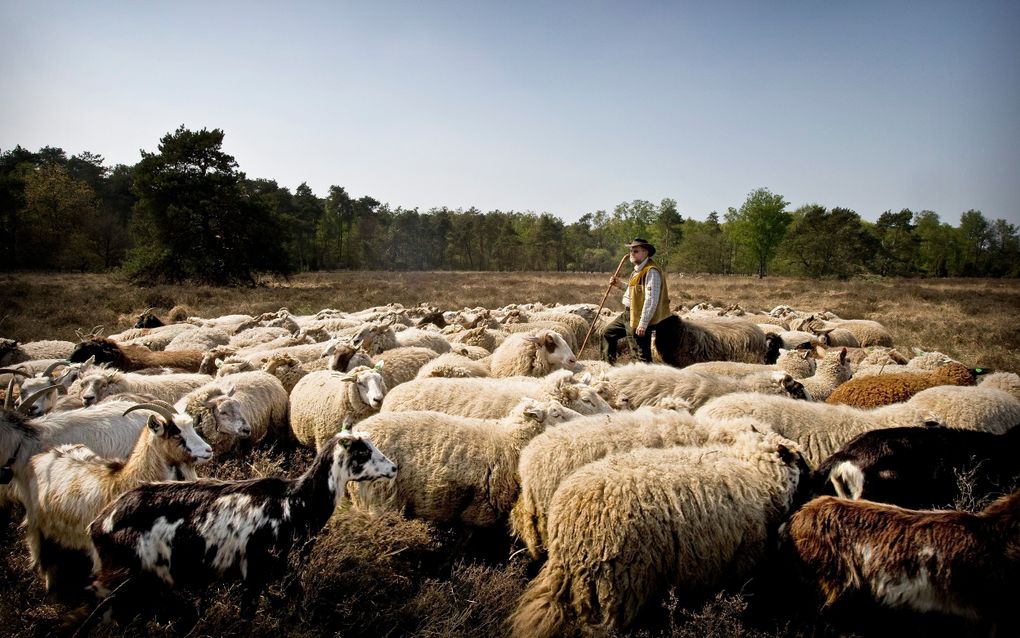 Foto RD, Henk Visscher