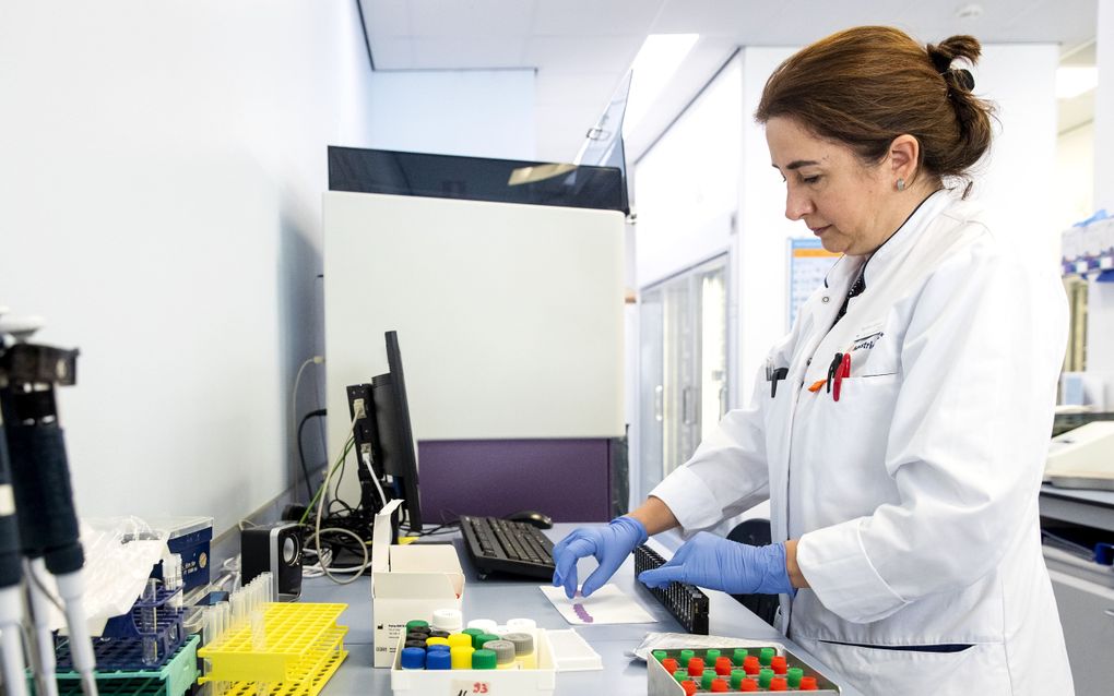 Een laboratoriummedewerkster van het Maastricht UMC+ onderzoekt de aanwezigheid van antistoffen tegen corona in bloed. Bloed bevat volgens immunoloog prof. Ger Rijkers honderd tot duizend keer zoveel antistoffen als speeksel. beeld ANP, Sem van der Wal