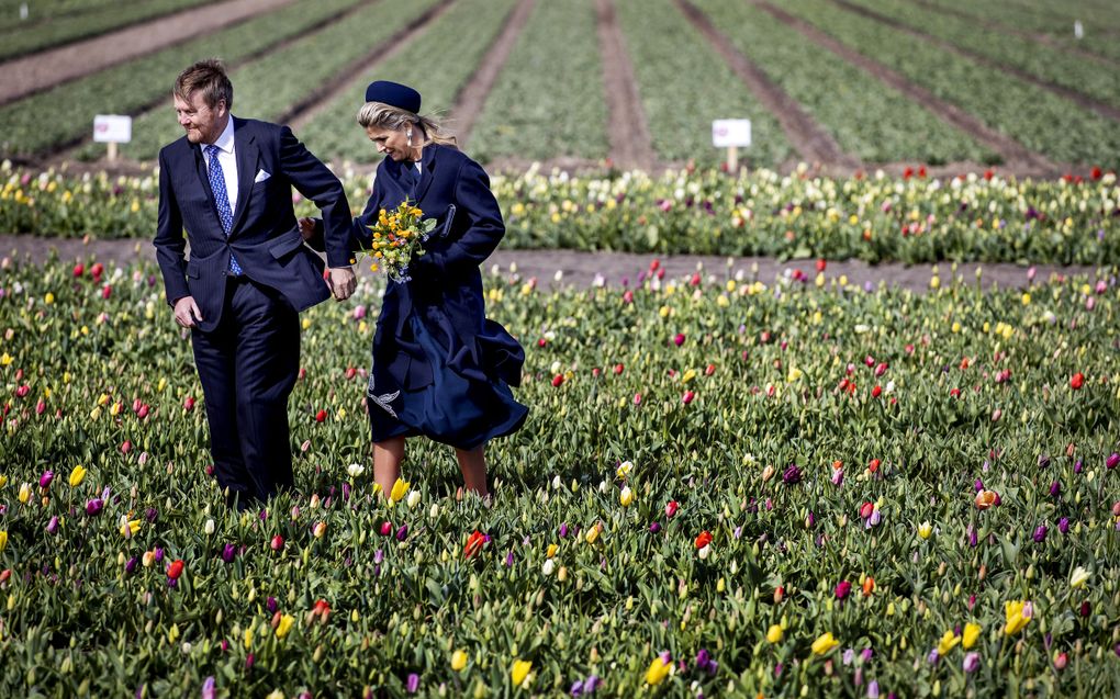 Koning Willem-Alexander en koningin Maxima bezoeken De Tulip Barn tijdens een streekbezoek aan de Duin- en Bollenstreek in Zuid-Holland. beeld ANP, Koen van Weel