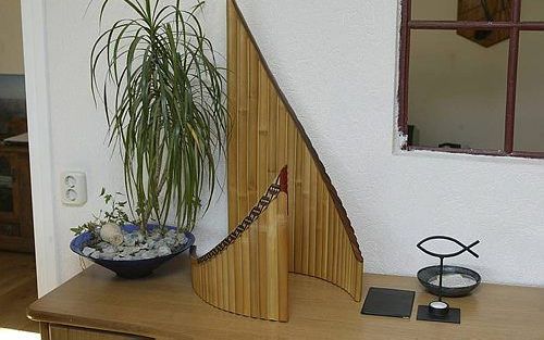 Rijssens concert met twee panfluiten, harp en orgel. Foto RD, Anton Dommerholt