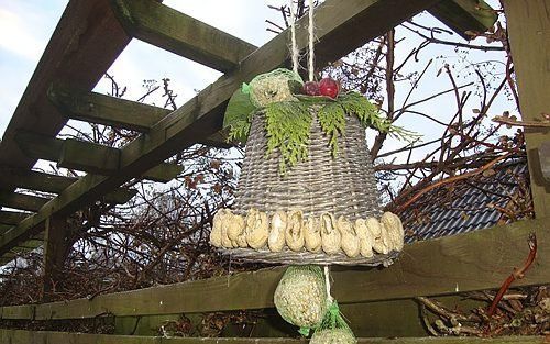 Zodra het winter wordt, maakt Jolien van Asselt uit Elspeet vogelvoerklokjes om weg te geven én voor haar eigen tuin. Foto RD