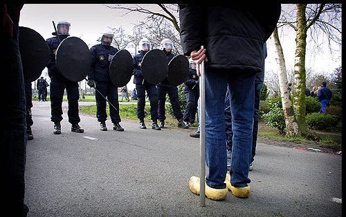 Producent IDTV Docs en de EO komen eind maart met de documentaire ”Mannenbroeders van Kootjebroek”, tien jaar na de mond- en klauwzeercrisis. Foto RD, Henk Visscher