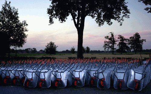 STRAMPROY - Kruiwagens bij Moonen Agroservice, een soort uitzendbureau in Stramproy (Limburg). De kruiwagens werden door asielzoekers gebruikt bij de ruiming van pluimveehouderijen in de Gelderse Vallei en in Limburg. Het blijkt nu dat de belastinginspect