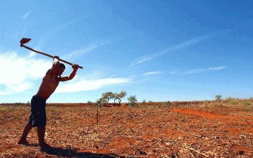 TRES MARIAS - Een Braziliaanse boer probeert zijn land te bewerken. Tussen landloze boeren en landeigenaren is al lange tijd oorlog. De strijd dreigt nu weer op te laaien. - Foto EPA