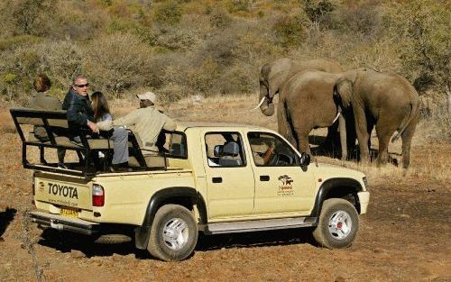 GABORONE - De Amerikaanse president Bush, zijn vrouw Laura en dochter Barbara bekijken olifanten in een natuurreservaat in Botswana. De president heeft opnieuw gezegd dat hij Afrika wil steunen in de strijd tegen aids. - Foto EPA