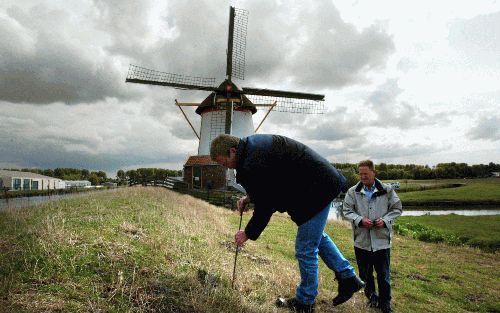 WATERINGEN â€“ J. van der Voort (r.) en J. Wijngaard van het hoogheemraadschap Delfland inspecteerden dinsdag een dijk in de Groeneveldsepolder (Westland) op krimpscheurtjes. Sinds de alarmfase maken beide mannen overuren om de dijken in de gaten te houde