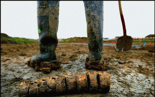 Tiel â€“ De wervelkolom van een mens van ongeveer 2150 jaar geleden lag vrijdag naast de plek in Tiel waar ze door onderzoekers van het Archeologisch Instituut van de Vrije Universiteit was opgegraven. Foto ANP