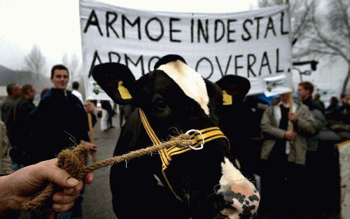 CULEMBORG â€“ Koe Anelle werd donderdag geparkeerd voor het hoofdkantoor van Aldi in Culemborg. Melkveehouders protesteren tegen de lage prijzen van de melk in de winkels. Foto ANP