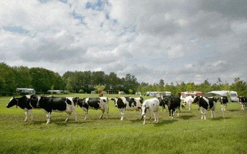 OLDEBOORN â€“ De meeste veehouderijbedrijven hebben een moeilijk jaar achter de rug, zo bleek dinsdagmorgen uit cijfers van het Landbouw Economisch Instituut. De tuinbouw liet een wisselend beeld zien, de akkerbouw deed het daarentegen beter. Voor de agra