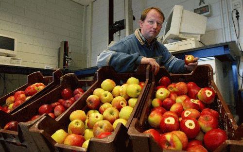 RANDWIJK â€“ Bij PPO in het Betuwse plaatsje Randwijk wordt praktijkgericht onderzoek gedaan om de positie van de Nederlandse appelteelt op de internationale markt te verbeteren. Zo probeert de instelling de telers te helpen de juiste plukdata vast te ste