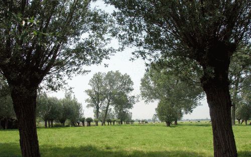 „Bouwen in het Groene Hart zal niet direct tot gevolg hebben dat het hart rood kleurt, maar wel dat de assen Gouda-Alphen aan den Rijn-Leiden en Leiden-Alphen aan den Rijn-Bodegraven behoorlijk uit zullen dijen qua bebouwing.” - Foto Paul Dijkstra