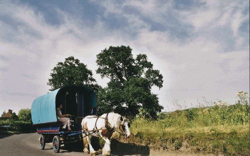 De treeplank is hÃ©t geheim van de woonwagen. Daarop staande kun je precies over de heggen kijken, die overal in Engeland het zicht vanaf de weg ontnemen. Foto’s RD