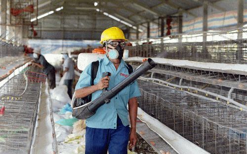 HO CHI MINHSTAD â€“ Vietnamese gezondheidswerkers ontsmetten een stal waarin kippen hebben gezeten met desinfecterende middelen. Vietnam is een van de Aziatische landen die ernstig zijn getroffen door de vogelgriep. - Foto AFP