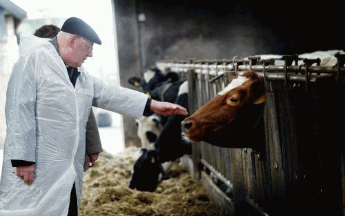 LEUSDEN â€“ Een koe krijgt een handreiking van kardinaal Simonis. De rooms katholieke geestelijke bracht vrijdag een bezoek aan het landbouwbedrijf van familie Van de Lagemaat in Leusden. De werkgroep kerk, landbouw en platteland van het aartsbisdom Utrec