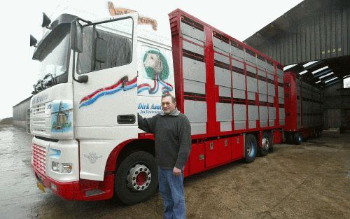 WIJNGAARDEN - Internationaal veetransporteur Dirk Aantjes is sinds zes jaar eigen baas. De lading van zijn DAF-XF-truck met aanhanger bestaat voor 99 procent uit schapen. Tot de mkz-crisis van 2001 reed hij veel dieren vanuit het Verenigd Koninkrijk. Sind