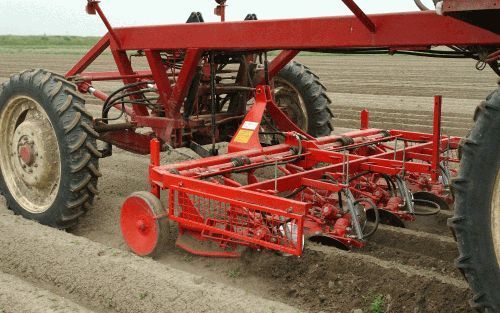 KRUININGEN â€“ Alex van Hootegem is ervan overtuigd dat er op het terrein van schoffelen duizelingwekkende vernieuwingen mogelijk zijn. De biologisch akkerbouwer uit Kruiningen ontwierp een schoffelmachine met zelfstandig aangedreven schijven. Deze volgt 