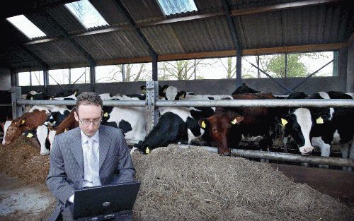 LELYSTAD - Henk Vermeer, commercieel manager van Agroportal, verwacht dat de verkoop van runderen via internet een grote vlucht zal nemen. „Boeren zijn pragmatisch ingesteld, geen overdreven gedoe. Maar met automatisering zijn ze verder dan veel andere se