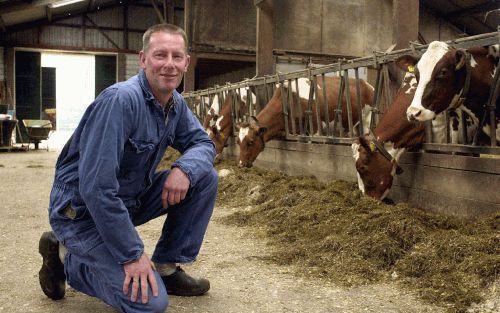 WITHAREN â€“ GMV’er Van der Horst: „Als de provincie meer te zeggen krijgt over het platteland, moeten er wel statenleden zijn die gevoel hebben voor de landbouw.” Op de foto Van der Horst in een van zijn stallen in Witharen. Foto Frank Uijlenbroek