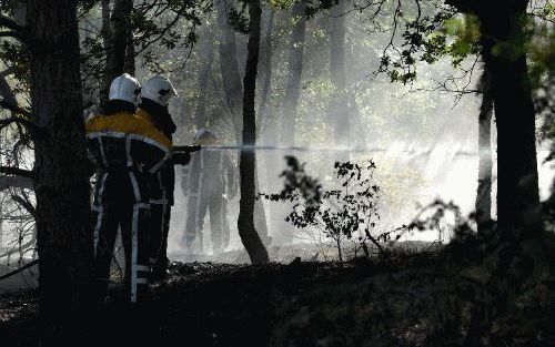 DEN DOLDER â€“ Brandweerlieden waren vrijdag urenlang bezig met het bestrijden van een bosbrand bij Den Dolder. Foto ANP