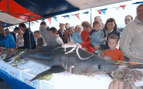 URK â€“ Bezoekers van de visserijbeurs in Urk konden zaterdag gratis vis eten. Velen maakten hier gebruik van. In de visafslag spoorde M. Kirchner, de rechterhand van eurocommissaris Fischler, de aanwezige vissers aan zelf ideeÃ«n aan te dragen voor een h