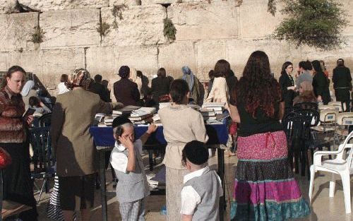 JERUZALEM - Religieuze Joden vieren woensdag Sjavoeot, het Wekenfeest. Op deze dag -zeven weken en een dag na Pesach (het Joodse Paasfeest)- vieren zij dat God hun de thora gaf. Het feest eindigt woensdagavond na zonsondergang. Voor Joden in de diaspora d