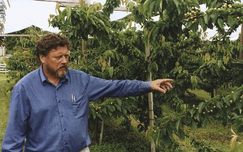 LOFTHUS - Het team van de Noorse fruitdeskundige dr. Lars Sekse doet proeven om de kwaliteit en de productie van het fruit rond het Hardangerfjord nog verder te verbeteren. - Foto RD