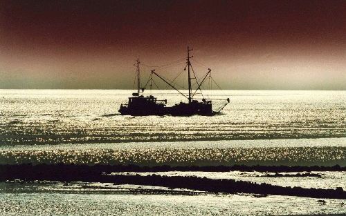 Een kokkelvisser op de Waddenzee. De meest betrokken ministers willen boren naar gas onder de Waddenzee toestaan. Tegelijkertijd moet er wel een fonds van ongeveer 500 miljoen euro moeten komen voor investeringen in de natuur. Het is nog niet duidelijk wa