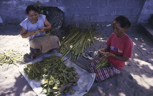 „Democratie en democratisering zijn lastig te hanteren begrippen. Met een objectievere aanpak blijkt algauw dat ontwikkelingen in landen als IndonesiÃ« en China beter te begrijpen zijn dan wanneer vooral op de verschillen met onze stand van democratie gew