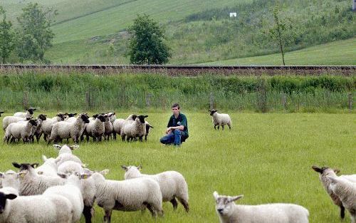 NUENEN - Schapenhouder Rob Adriaans uit Nuenen zet zijn schapen in als levende grasmaaiers. „Ik ben altijd goedkoper dan gewone groenbedrijven. Die moeten het gras maaien, verzamelen en afvoeren, composteren, korreltjes storten. Dat hele verhaal bij elkaa