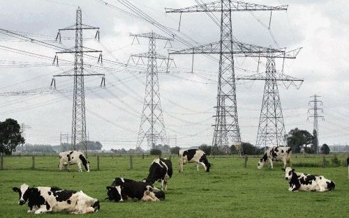 ZWOLLE â€“ Hoogspanningsmasten in de buurt van Zwolle. Vanaf 1 juli gaat de energiemarkt voor consumenten open. Een prijzenslag lijkt er volgens deskundigen niet in te zitten. Foto ANP