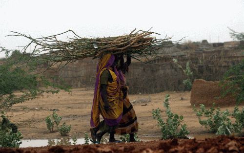 AL FASHIR â€“ Een Sudanese vrouw, een van de duizenden ontheemden als gevolg van de crisis in Sudan, verzamelt brandhout in het vluchtelingenkamp Zamzam in de buurt van de stad al Fashir in de regio Darfur. Foto EPA