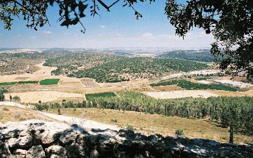 Het Dal van Ela of de vallei van de terebint. Aan de ene zijde van dit dal hadden de IsraÃ«lieten zich opgesteld, aan de andere zijde de Filistijnen Foto Alfred Muller