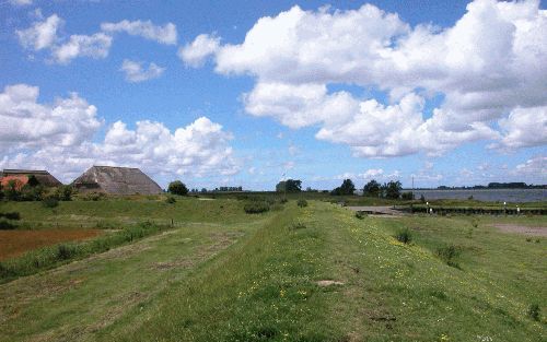 TIENGEMETENâ€“ Op Tiengemeten is rust en ruimte. Gids Elly Vergouwe: „Je vindt daar de blauwborst, je ziet daar de kiekendief en de buizerd. En wat dacht je van de heemst, familie van de stokroos?” Foto RD