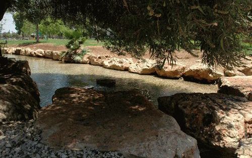 Ein Harod, de bron of fontein van Harod (Richteren 7:1). Dit is de plaats waar Gideon zijn mannen selecteerde die het land zouden verlossen van de Midianieten. Foto Alfred Muller