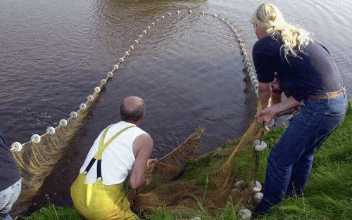 GRAMSBERGEN â€“ Diverse pogingen om de uit Duitsland ontsnapte zeehond Hannes in Nederland te vangen zijn op niets uitgelopen. Het beestje ontsnapte maandag uit een Duitse dierentuin bij Nordholt en is donderdag opgedoken in Nederland. Hannes is diverse m