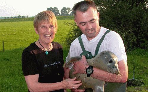 PIETERBUREN - Lenie het hart (L) en Richard Dijkema (R) knuffelen zeehond Hannes. Het zes maanden oude dier werd vrijdag in de Vecht bij Dalfsen gevangen. De zeehond was ontsnapt uit een dierentuin in het Duitse Nordholt. Het dier zal in de zeehondencrech