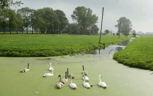 STOLWIJK â€“ Inwoners van het Zuid Hollandse dorp Stolwijk willen hogere waterstanden, maar boeren in de omliggende polders zijn bang voor vernatting van hun landerijen. Foto RD, Anton Dommerholt