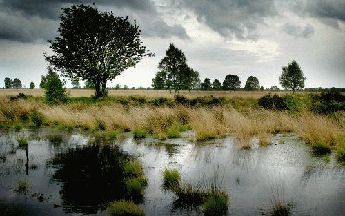 WAGENINGEN â€“ Het beeld van een idyllisch Drenthe waar de tijd lijkt stil te staan, heeft een gevoelige klap gekregen. Historisch geograaf dr. T. Spek laat in zijn proefschrift zien dat de werkelijkheid veel genuanceerder ligt. Ook Drenthe onderging een 