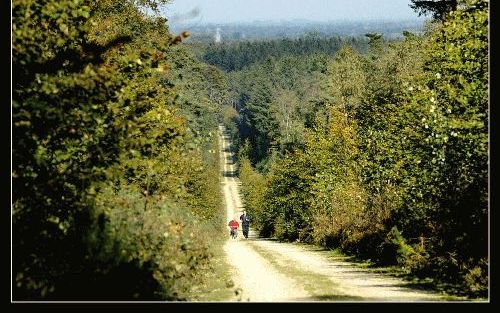 Een trimmer en twee fietsers zwoegen de berg op. Op de top is het leuk om anderen nog te zien worstelen. De opkomende herfstkleuren verfraaien het uitzicht. „Nog een nachtvorstje en dan gaat het echt kleuren.” Foto RD, Henk Visscher