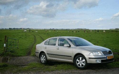 De nieuwe Skoda Octavia oogt onveranderd, is perfect afgewerkt, biedt veel ruimte en heeft een aantrekkelijke prijs. Foto’s RD, Anton Dommerholt